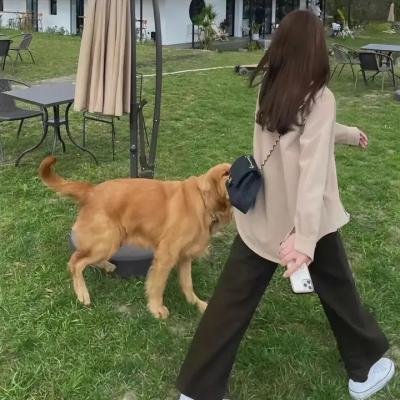 囧妈的极地任务